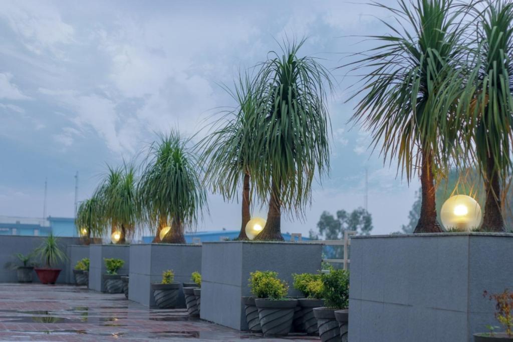 Mg Regency Hotel Baddi Bagian luar foto